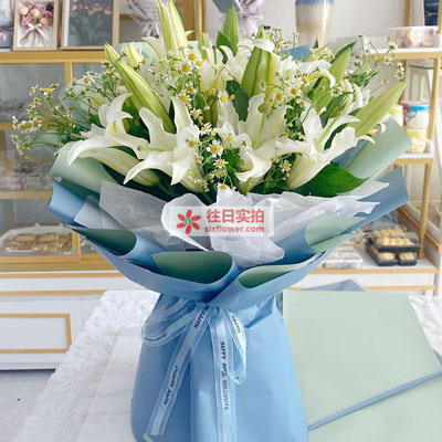 泉州8支白色多头百合洋甘菊，互倾的思念